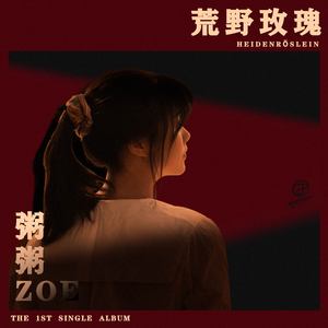 鬼色欧美A片视频
